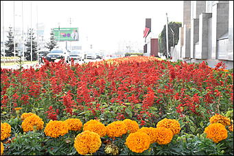 27 сентябрь 2018 г., Барнаул   Осенние краски бабьего лета в Барнауле