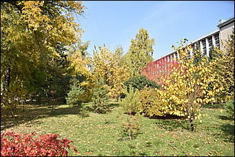 27 сентябрь 2018 г., Барнаул   Осенние краски бабьего лета в Барнауле