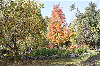 27 сентябрь 2018 г., Барнаул   Осенние краски бабьего лета в Барнауле