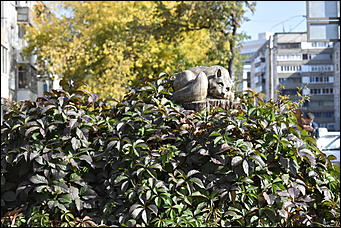 27 сентябрь 2018 г., Барнаул   Осенние краски бабьего лета в Барнауле