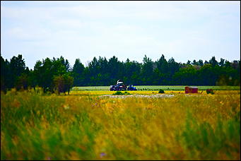 27 сентябрь 2018 г., Барнаул   Осенние краски бабьего лета в Барнауле
