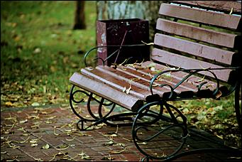 8 сентября 2019 г., Барнаул. Екатерина Смолихина   Ну, здравствуй, осень! Промозглый и очаровательный фоторепортаж с улочек Барнаула