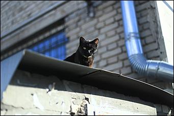 20 октября 2021 г., Барнаул. Екатерина Смолихина   Золотая осень, золотая. Октябрьское бабье лето в Барнауле