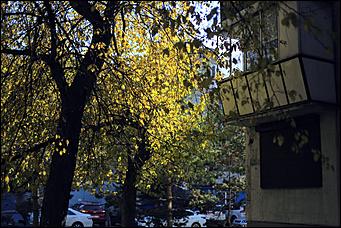 20 октября 2021 г., Барнаул. Екатерина Смолихина   Золотая осень, золотая. Октябрьское бабье лето в Барнауле