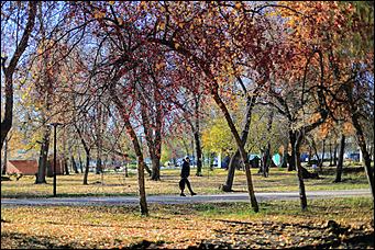 20 октября 2021 г., Барнаул. Екатерина Смолихина   Золотая осень, золотая. Октябрьское бабье лето в Барнауле