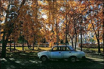 20 октября 2021 г., Барнаул. Екатерина Смолихина   Золотая осень, золотая. Октябрьское бабье лето в Барнауле