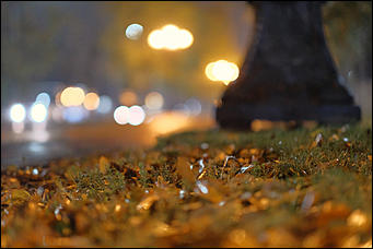 13 октябрь 2020 г., Барнаул   Желтый лоск ночного проспекта. Краски вечернего Барнаула в осенний дождь