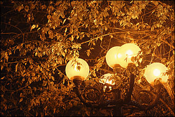 13 октябрь 2020 г., Барнаул   Желтый лоск ночного проспекта. Краски вечернего Барнаула в осенний дождь