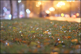 13 октябрь 2020 г., Барнаул   Желтый лоск ночного проспекта. Краски вечернего Барнаула в осенний дождь