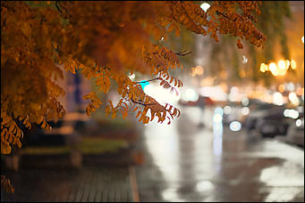 13 октябрь 2020 г., Барнаул   Желтый лоск ночного проспекта. Краски вечернего Барнаула в осенний дождь