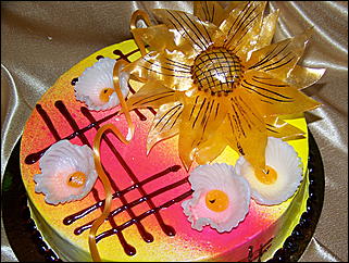 16 марта 2010 г., Барнаул   Выставка "Итоги социально-экономического развития-2009"