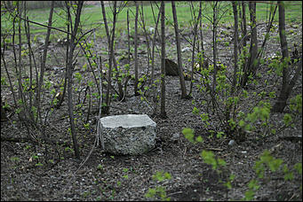 16 мая 2018 г., Барнаул. Екатерина Смолихина   Барнаульский парк "Победа" в ожидании новой жизни