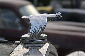 7-8 июня 2007 г., Бийск   Автопробег "Пекин - Париж 2007"