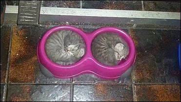 17 март 2016 г., Барнаул   Как выглядит результат, если за работу взялся перфекционист?