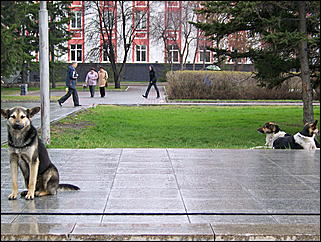 1 мая 2009 г., Барнаул   Один праздник - два митинга 