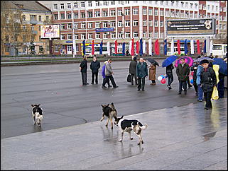 1 мая 2009 г., Барнаул   Один праздник - два митинга 