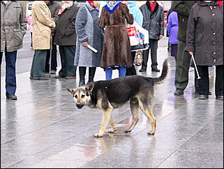 1 мая 2009 г., Барнаул   Один праздник - два митинга 
