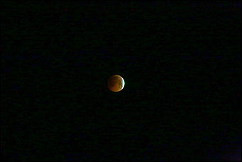 28 декабря 2018 г., Барнаул. Екатерина Смолихина   Барнаул-2018: главные фотографии года от Amic.ru