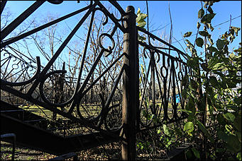 29 октября 2018 г., Барнаул. Екатерина Смолихина   Церковь старообрядцев и забытая набережная: фотопрогулка вдоль Барнаулки