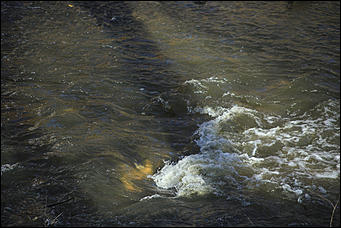 29 октября 2018 г., Барнаул. Екатерина Смолихина   Церковь старообрядцев и забытая набережная: фотопрогулка вдоль Барнаулки