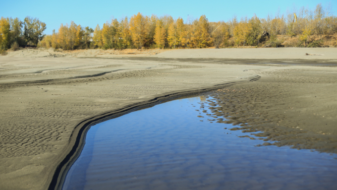 16 октября 2019 г., Барнаул. Екатерина Смолихина   Нежный октябрь: солнечная фотопрогулка вдоль обмелевшей Оби