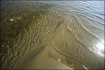 16 октября 2019 г., Барнаул. Екатерина Смолихина   Нежный октябрь: солнечная фотопрогулка вдоль обмелевшей Оби