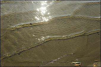 16 октября 2019 г., Барнаул. Екатерина Смолихина   Нежный октябрь: солнечная фотопрогулка вдоль обмелевшей Оби