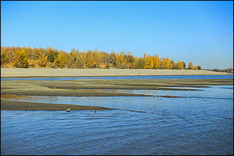16 октября 2019 г., Барнаул. Екатерина Смолихина   Нежный октябрь: солнечная фотопрогулка вдоль обмелевшей Оби