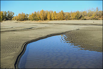 16 октября 2019 г., Барнаул. Екатерина Смолихина   Нежный октябрь: солнечная фотопрогулка вдоль обмелевшей Оби