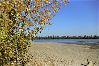 16 октября 2019 г., Барнаул. Екатерина Смолихина   Нежный октябрь: солнечная фотопрогулка вдоль обмелевшей Оби