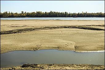 16 октября 2019 г., Барнаул. Екатерина Смолихина   Нежный октябрь: солнечная фотопрогулка вдоль обмелевшей Оби