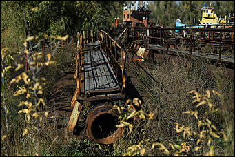 16 октября 2019 г., Барнаул. Екатерина Смолихина   Нежный октябрь: солнечная фотопрогулка вдоль обмелевшей Оби