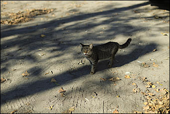 16 октября 2019 г., Барнаул. Екатерина Смолихина   Нежный октябрь: солнечная фотопрогулка вдоль обмелевшей Оби