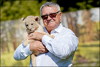 16 август 2016 г., Барнаул © Амител Вячеслав Мельников   Служебный роман. Первая фотосессия маленькой львицы из барнаульского зоопарка