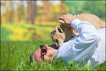 16 август 2016 г., Барнаул © Амител Вячеслав Мельников   Служебный роман. Первая фотосессия маленькой львицы из барнаульского зоопарка