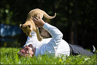 16 август 2016 г., Барнаул © Амител Вячеслав Мельников   Служебный роман. Первая фотосессия маленькой львицы из барнаульского зоопарка