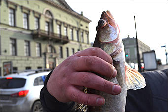 12 апрель 2016 г., Санкт-Петербург. Фото Александры Черданцевой   Необычный, но простой Петербург