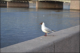 12 апрель 2016 г., Санкт-Петербург. Фото Александры Черданцевой   Необычный, но простой Петербург