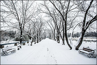 26 октябрь 2016 г., Барнаул  © Амител Вячеслав Мельников   Контраст осенних красок и снежной белизны: фоторепортаж из дендрария