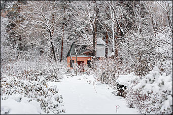 26 октябрь 2016 г., Барнаул  © Амител Вячеслав Мельников   Контраст осенних красок и снежной белизны: фоторепортаж из дендрария