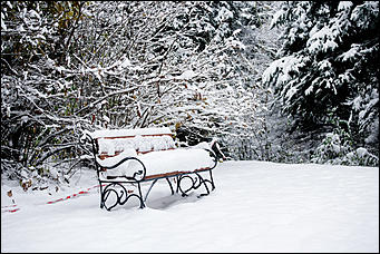 26 октябрь 2016 г., Барнаул  © Амител Вячеслав Мельников   Контраст осенних красок и снежной белизны: фоторепортаж из дендрария