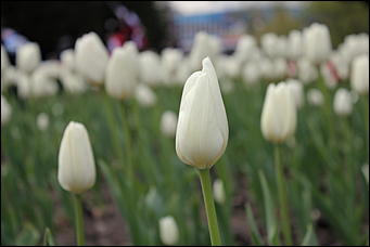 9 мая 2012 г., Барнаул   Празднование Дня Победы в Барнауле
