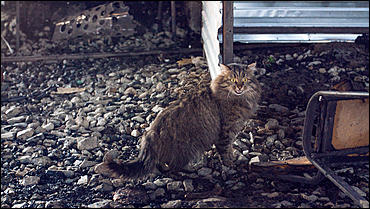 2 февраль 2016 г., Барнаул © Амител Вячеслав Мельников   Цех литейного завода после пожара