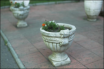 21 июня 2018 г., Барнаул. Екатерина Смолихина   Ускользающая красота: фотопрогулка по барнаульскому Потоку