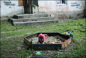 21 июня 2018 г., Барнаул. Екатерина Смолихина   Ускользающая красота: фотопрогулка по барнаульскому Потоку