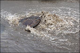 26 июль 2016 г., Барнаул   Алтайская Венеция: Барнаул снова затопило дождем