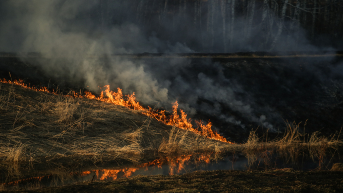 23 апреля 2019 г., Барнаул. Екатерина Смолихина   Неуправляемая стихия: как в Алтайском крае горят поля