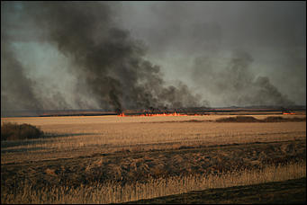 23 апреля 2019 г., Барнаул. Екатерина Смолихина   Неуправляемая стихия: как в Алтайском крае горят поля