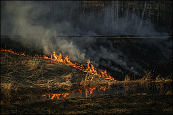 23 апреля 2019 г., Барнаул. Екатерина Смолихина   Неуправляемая стихия: как в Алтайском крае горят поля