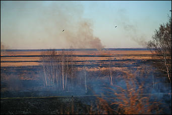 23 апреля 2019 г., Барнаул. Екатерина Смолихина   Неуправляемая стихия: как в Алтайском крае горят поля